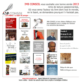 Carte de vœux 2013 pour IMB Conseil